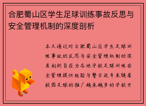 合肥蜀山区学生足球训练事故反思与安全管理机制的深度剖析