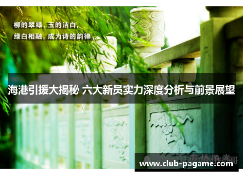 海港引援大揭秘 六大新员实力深度分析与前景展望