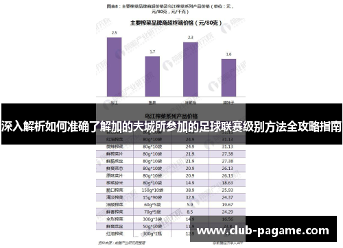 深入解析如何准确了解加的夫城所参加的足球联赛级别方法全攻略指南 深入解析如何准确了解加的夫城所参加的足球联赛级别方法全攻略指南