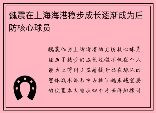 魏震在上海海港稳步成长逐渐成为后防核心球员