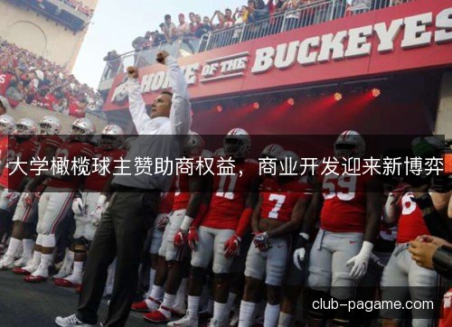 大学橄榄球主赞助商权益,商业开发迎来新博弈 大学橄榄球主赞助商权益,商业开发迎来新博弈